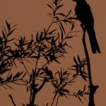 Elster geniesst den Sonnenuntergang am Greifensee