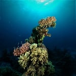 ...Deep South, St. Johnstour