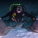 Alimatha, 06/22...was für ein Erlebnis :)