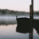 Morgenstimmung am Katzensee