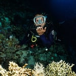 Mustafa, Oceanwindow