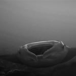 Manta, Malediven 2022