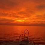 ...darum heisst es rotes Meer, Sonnenuntergang, unbearbeitet 