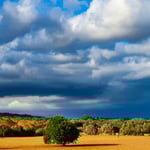 vor dem Sturm in Mallorca 