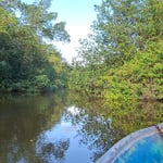 ...da hinter dem Wall ist das Meer, Costa Rica