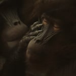 Caring....dies ist wirklich mein unbearbeitetes Lieblingsfoto mit soviel Emotion 