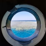 ...Blick aus der Dusche :)