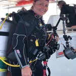 ...so hat es begonnen