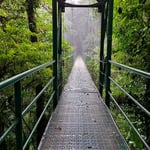 Hängebrücken, Costa Rica 