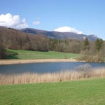 Region Solothurn Wohnung kaufen, nähe Natur!