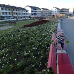 Schiller Gartengestaltung - Garten und Landschaftsbau Cuxhaven - Gewerbekunden - Referenzen