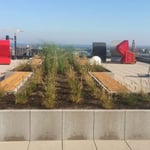 Schiller Gartengestaltung - Garten und Landschaftsbau Cuxhaven - Gewerbekunden - Dachbegrünung