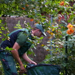 Schiller Gartengestaltung - Garten und Landschaftsbau Cuxhaven - Gartenpflege