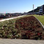 Schiller Gartengestaltung - Garten und Landschaftsbau Cuxhaven - Gewerbekunden - Referenzen