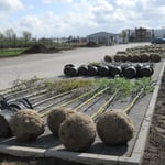 Schiller Gartengestaltung - Garten und Landschaftsbau Cuxhaven - Gewerbekunden - Landschaftsbau