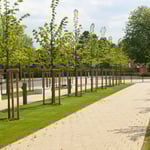 Schiller Gartengestaltung - Garten und Landschaftsbau Cuxhaven - Gewerbekunden - Landschaftsbau