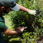 Schiller Gartengestaltung - Garten und Landschaftsbau Cuxhaven - Gartenpflege