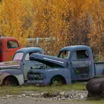 Zwischenhalt in der Ortschaft CHICKEN