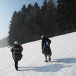 Das ganze Material mal bis zum Waldrand hoch