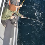 los drehe du hesch eine