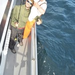 Juhhe mir händ en Halibut