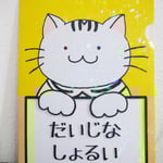 当店オリジナルキャラクター「シマネコ店長」のクリアファイルです。キラキラの黄色で目立ちます！裏面はスタッフのトリさんです☆　￥500
