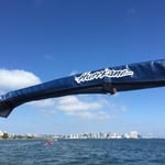 Skyline von San Diego im Hintergrund.