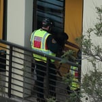 ....Mick und Co. ......, mit kleinem Zwischenfall.....