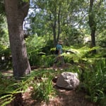 HP gut getarnt im Jungle