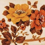 ?1983-?1985 Cornelia