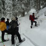 AKUT Schneeschuhwanderung Birgitz Kopfl 2012