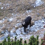 AKUT Bergtour, Tirol, Karwendel, Nordkette