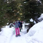 AKUT Schneeschuhwanderung Birgitz Kopfl 2014