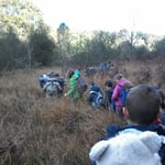 Visite terrain- la tourbière