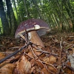 à Partir de juillet il faut ouvrir l'oeil 