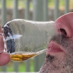 ...and Whisky, unfortunately it ended that we have to leave the lodge immediately on a Sunday...