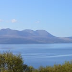 the view from the patio