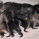 Tag 4...an der Milchbar