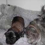 31.10.12 Amy mit ihrer Mami