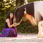 Tinker Irish Cob Tamara Wittkopf Freiarbeit Zirkuslektionen