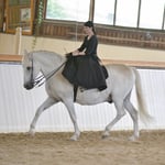 P.R.E. Damensattel Reitkunst Tamara Wittkopf