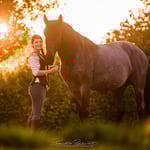 Murgese Tamara Wittkopf Freiarbeit Reitkunst