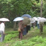 気づきの日・雨の日の歩く瞑想