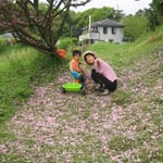 八重桜の道・ゆとり家から畑に行く道