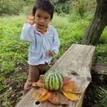 今年はスイカが秋までよくとれた