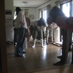 室内でのセッション