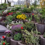 Ferienwohnung Franken, Vestenbergsgreuth im Steigerwald, Blüten ohne Ende