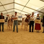 Seniorchampions Expomittelland 2014