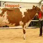 Kat.10, Ran 2, Foresthill Alasto SISI, Fam. Weber