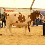 Kat.9, Rang 1, PIORA Wyss Michael